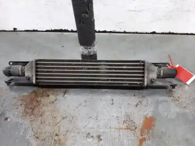 Pezzo di ricambio per auto di seconda mano intercooler per fiat linea (110) dynamic riferimenti oem iam 51785221  