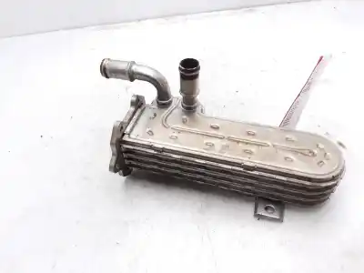 Pezzo di ricambio per auto di seconda mano RAFFREDDATORE EGR per SEAT LEON (1P1)  Riferimenti OEM IAM 03G131513J  