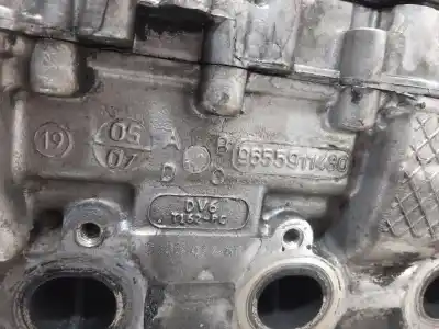 İkinci el araba yedek parçası popo için ford focus berlina (cap) d/hhda oem iam referansları 9655911480  