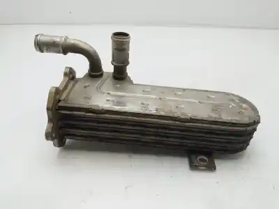 Pezzo di ricambio per auto di seconda mano RAFFREDDATORE EGR per SEAT LEON (1P1)  Riferimenti OEM IAM 03G131513J  
