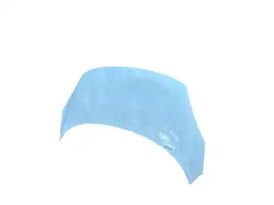 Gebrauchtes Autoersatzteil motorhaube zum renault scénic iii (jz0/1_) 1.9 dci (jz0j, jz1j, jz1k, jz1s) oem-iam-referenzen 651008842r  
