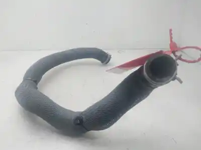 Peça sobressalente para automóvel em segunda mão tubo por renault austral techno 199 cv / 147 kw referências oem iam 215019412r