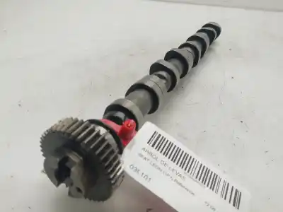 Pezzo di ricambio per auto di seconda mano Albero A Camme per SEAT LEON (1P1) Reference Riferimenti OEM IAM 03L101  