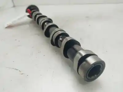 Pezzo di ricambio per auto di seconda mano albero a camme per seat leon (1p1) reference riferimenti oem iam 03l101  