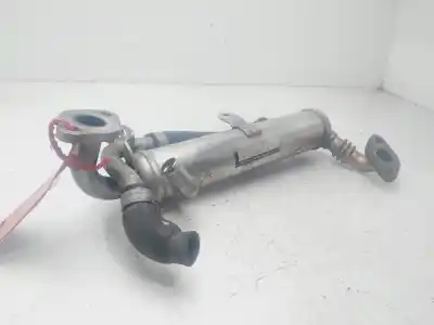 Pezzo di ricambio per auto di seconda mano raffreddatore egr per opel meriva cosmo riferimenti oem iam 8973635151  