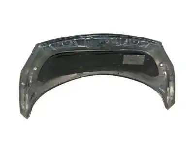 Автозапчасти б/у капот за renault scénic ii (jm0/1_) 1.5 dci (jm02, jm13) ссылки oem iam 651001097r  