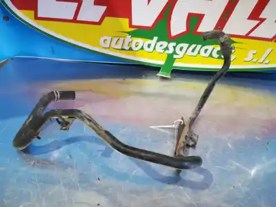 İkinci el araba yedek parçası TÜP için FORD FOCUS BERLINA (CAP)  OEM IAM referansları   