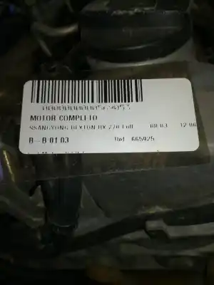 Pezzo di ricambio per auto di seconda mano motore completo per ssangyong rexton d27dt riferimenti oem iam 665925  