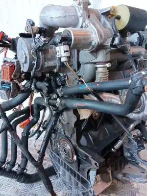 İkinci el araba yedek parçası komple motor için renault megane ii (bm0/1_, cm0/1_) 1.9 dci oem iam referansları f9q b8  