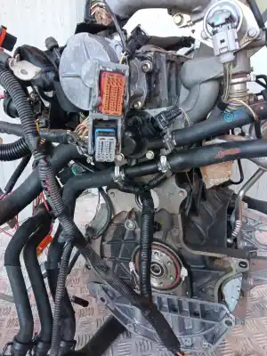 İkinci el araba yedek parçası komple motor için renault megane ii (bm0/1_, cm0/1_) 1.9 dci oem iam referansları f9q b8  