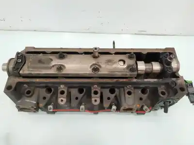 Peça sobressalente para automóvel em segunda mão cabeça / culatra por ford focus berlina (cak) ambiente referências oem iam   
