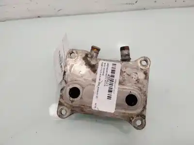 Piesă de schimb auto la mâna a doua racitor de ulei de motor termoflot pentru ford focus berlina (cak) ambiente referințe oem iam tn2439bpia02
