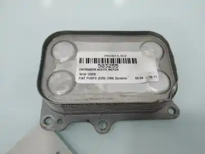 Pezzo di ricambio per auto di seconda mano radiatore olio motore per fiat punto (evo) (199) dynamic riferimenti oem iam 1229292