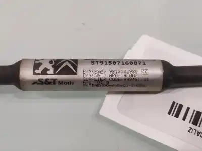 Peça sobressalente para automóvel em segunda mão CÂMARA por PEUGEOT 308 Active Referências OEM IAM 9812503980  