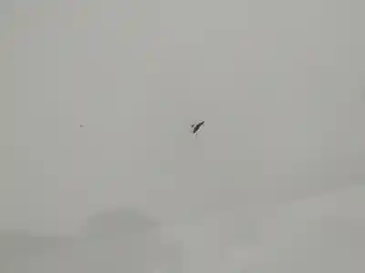 Peça sobressalente para automóvel em segunda mão porta da frente esquerda por ford cmax titanium referências oem iam   