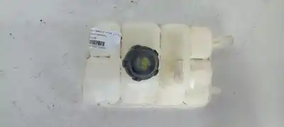 Piesă de schimb auto la mâna a doua VAS DE EXPANSIUNE pentru RENAULT SCENIC IV  Referințe OEM IAM 217104048R  