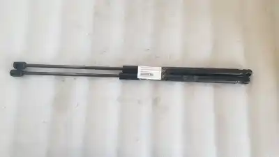 Pezzo di ricambio per auto di seconda mano ammortizzatori baule / porte per lancia ypsilon (402) 1.2 cat riferimenti oem iam 00518336250