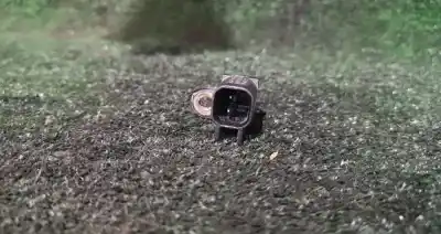 Peça sobressalente para automóvel em segunda mão sensor por ford focus iii 1.6 tdci referências oem iam bv6t-2c193-ga  