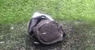 Second-hand car spare part rear left seat belt for ford focus ii (da_, hcp, dp) 1.8 tdci oem iam references   