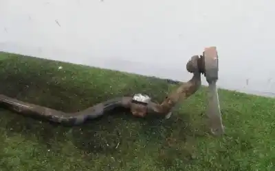 Автозапчастина б/у торсіон для volkswagen passat variant (3c5) 1.9 tdi посилання на oem iam   