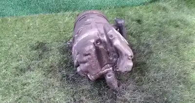 Second-hand car spare part air conditioning compressor for bmw 3 (e46) 316 i oem iam references 690866005  