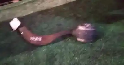 Second-hand car spare part front right lower suspension arm for bmw x5 (e53) 3.0 d oem iam references   