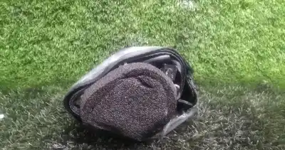 Pièce détachée automobile d'occasion ceinture de sécurité arrière droite pour ford focus ii (da_, hcp, dp) 1.8 tdci références oem iam   