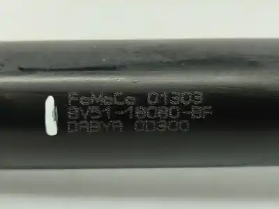 Peça sobressalente para automóvel em segunda mão amortecedor traseiro direito por ford fiesta vi (cb1, ccn) 1.4 tdci referências oem iam 8v5118080bf   Peça sobressalente para automóvel em segunda mão amortecedor traseiro direito por ford fiesta vi (cb1, ccn) 1.4 tdci referências oem iam 8v5118080bf