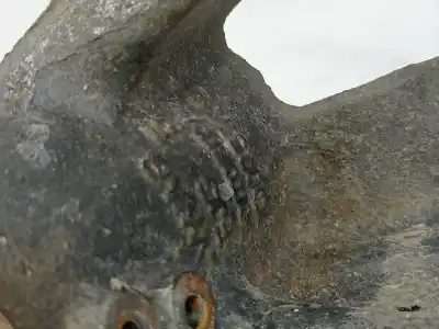 Second-hand car spare part front left knuckle for seat ateca (kh7) 2.0 tdi oem iam references 5q0255  