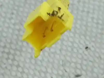 Peça sobressalente para automóvel em segunda mão chicote / encaixe cinto segurança dianteiro esquerdo por renault twingo iii (bcm_) 1.0 sce 70 referências oem iam 878170238r  