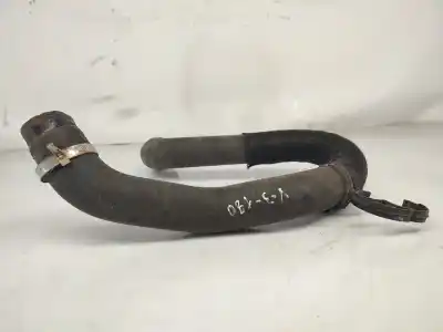 Tweedehands auto-onderdeel intercooler pijp voor citroen jumpy iii furgoneta (v_) 1.5 bluehdi 120 oem iam-referenties 9806788380  