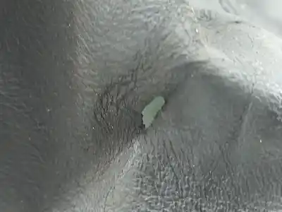 Second-hand car spare part gear lever knob for audi a4 b8 avant (8k5) 2.0 tdi oem iam references   