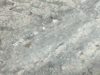 Автозапчастина б/у передня права колесна арка для toyota auris hatchback (_e18_) 1.4 d-4d (nde180_. nde180r) gasóleo 2015 5p посилання на oem iam   