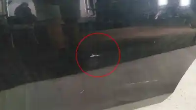 Peça sobressalente para automóvel em segunda mão porta da frente esquerda por bmw 1 (e81) gasóleo 2010 3p referências oem iam   