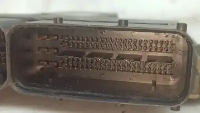 Pezzo di ricambio per auto di seconda mano centralina motore per opel corsa c (x01) 1.4 (f08, f68) riferimenti oem iam 55190069   Pezzo di ricambio per auto di seconda mano centralina motore per opel corsa c (x01) 1.4 (f08, f68) riferimenti oem iam 55190069