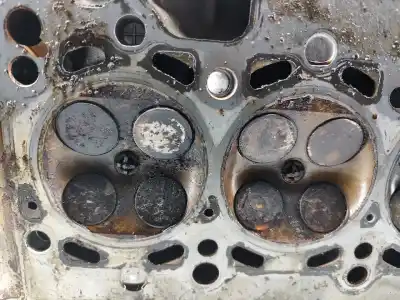 Peça sobressalente para automóvel em segunda mão cabeça / culatra por bmw 5 (e39) 520 i referências oem iam 1436812  