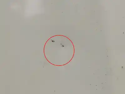 Second-hand car spare part bonnet for opel corsa d (s07) 1.2 (l08 l68) oem iam references   