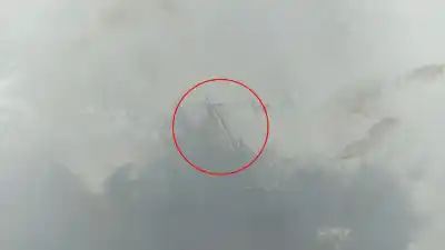 Peça sobressalente para automóvel em segunda mão capot por daewoo lanos (klat) 1.3 referências oem iam   