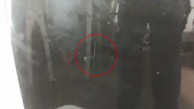 Pezzo di ricambio per auto di seconda mano cofano per renault megane ii break (km0/1_) 1.5 dci (km02. km13) gasóleo 2004 5p riferimenti oem iam   