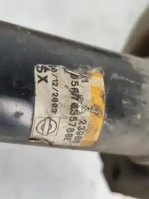 Peça sobressalente para automóvel em segunda mão amortecedor dianteiro esquerdo por lancia ypsilon (843_) 1.2 (843.axa1a) referências oem iam   