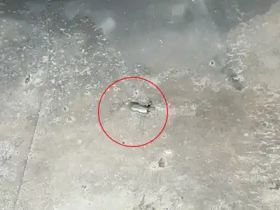 Pezzo di ricambio per auto di seconda mano paraurti anteriore per audi a3 (8l1) 1.6 riferimenti oem iam   