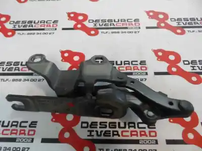 Peça sobressalente para automóvel em segunda mão capot por bmw serie 3 berlina (e90) 3.0 turbodiesel cat referências oem iam   2005