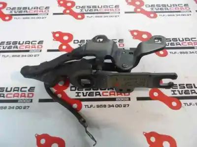 Peça sobressalente para automóvel em segunda mão capot por bmw serie 3 berlina (e90) 3.0 turbodiesel cat referências oem iam   2005