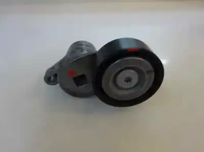 Pezzo di ricambio per auto di seconda mano tendicinghia ausiliaria per ford focus turn. 1.0 ecoboost cat riferimenti oem iam   2017