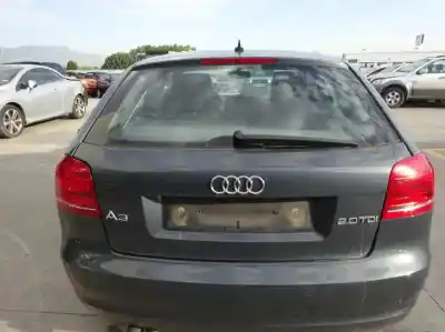 Автозапчасти б/у задняя дверь за audi a3 (8p) 2.0 tdi ambiente ссылки oem iam 