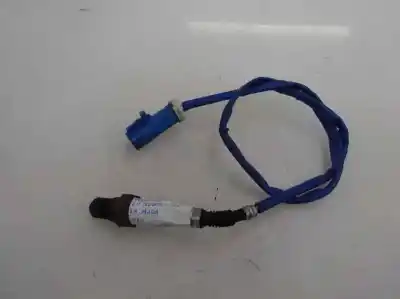 Peça sobressalente para automóvel em segunda mão SONDA LAMBDA por FORD FOCUS TURN. (CB8)  Referências OEM IAM   2014