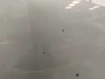 Peça sobressalente para automóvel em segunda mão capot por renault clio iii 1.5 dci diesel referências oem iam   2010