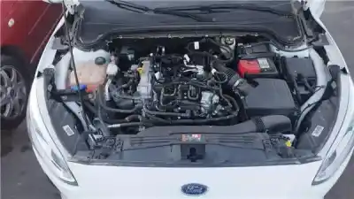 Recambio de automóvil de segunda mano de Radiador Agua para FORD FOCUS IV TURNIER (HP) 1.0 ECOBOOST referencias OEM IAM   