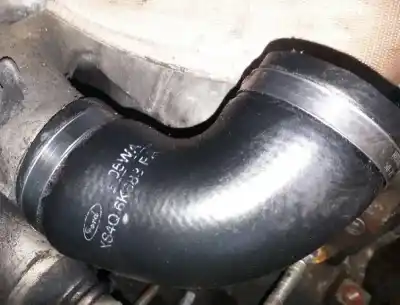 Pezzo di ricambio per auto di seconda mano  per FORD FOCUS TURNIER (CAK)  Riferimenti OEM IAM XS4Q6K683FA  XS4Q-6K683-FA Pezzo di ricambio per auto di seconda mano  per FORD FOCUS TURNIER (CAK)  Riferimenti OEM IAM XS4Q6K683FA  XS4Q-6K683-FA