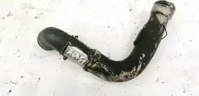 Pezzo di ricambio per auto di seconda mano tubo intercooler per seat ibiza (6l1) 1.9 tdi riferimenti oem iam 038131111a